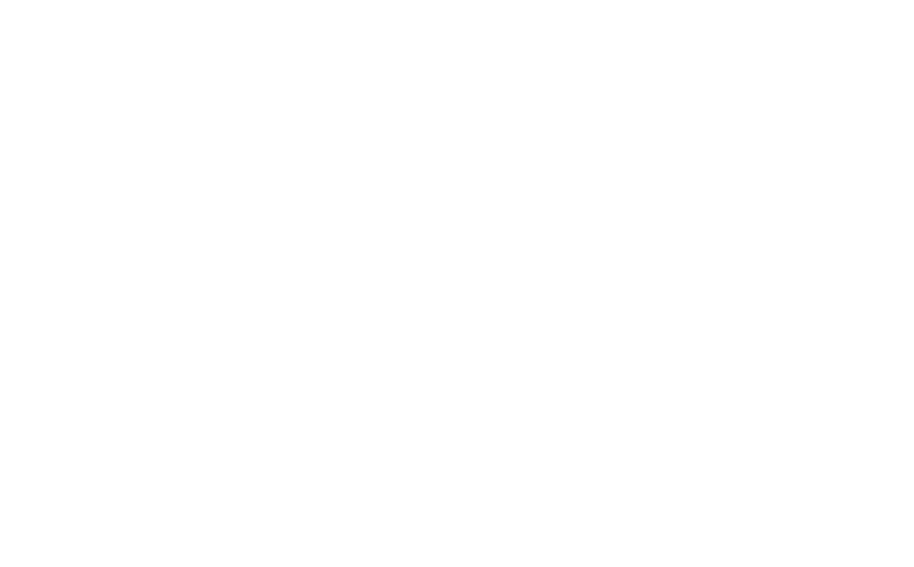 Nelson R. Correia Advogados